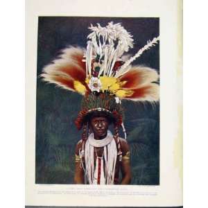  Roro Chief Decorated Ceremonial Dance Tribe Indian Art 