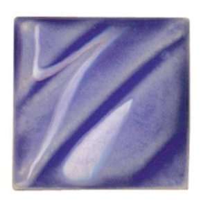   Free Liquid Gloss Glaze, Medium Blue, Gallon Arts, Crafts & Sewing