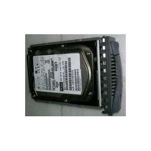  15K RPM SAS Disk Drive, RoHS compliant (XRBST1CE300G15K): Electronics