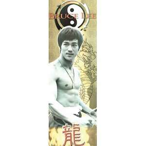  Bruce Lee   Door Posters   Movie   Tv