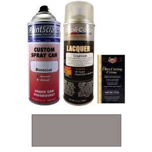   Gray Spray Can Paint Kit for 1995 Dodge Van Wagon (SC/MSC): Automotive