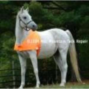   Protectavest Blaze Orange Horse Vest Med Morg, Orang 