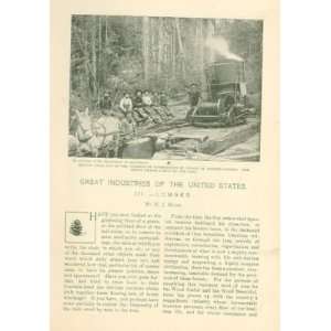  1904 Lumber Logging Lumbering Washington California 