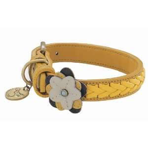  Sunflower Yellow Leather Dog Collar   Extra Small Pet 