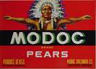 modoc red pear crate label medford or indian 
