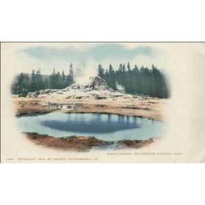 Reprint Yellowstone National Park WY   Castle Geyser 1900 1909  