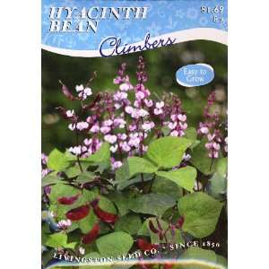  Hyacinth Bean (A) Patio, Lawn & Garden