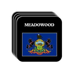  US State Flag   MEADOWOOD, Pennsylvania (PA) Set of 4 Mini 
