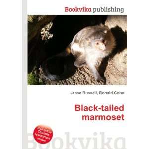  Black tailed marmoset Ronald Cohn Jesse Russell Books