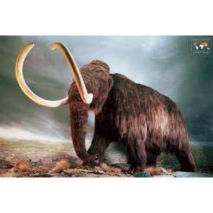  Woolly Mammoth Poster Print, 36x24 Poster Print, 36x24 