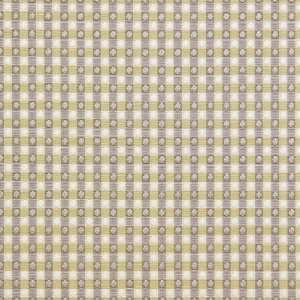  Colburn Citron by Pinder Fabric Fabric Arts, Crafts 