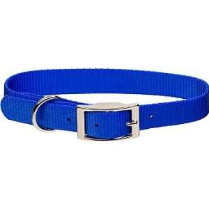   Buckle Nylon Personalized Dog Collar in Blue, 1 Width: Pet Supplies