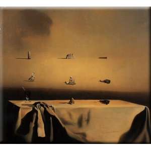  Morphological Echo 30x27 Streched Canvas Art by Dali 