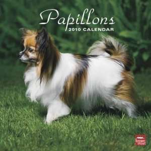  Papillons 2010 Wall Calendar: Office Products