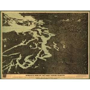  1891 Birds eye map of Puget Sound country, WA