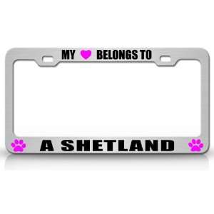 MY HEART BELONGS TO A SHETLAND Dog Pet Steel Metal Auto License Plate 