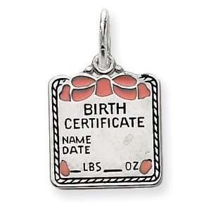  Sterling Silver Pink Birth Certificate Charm: Jewelry