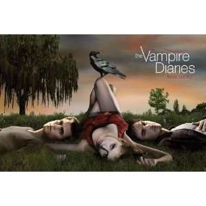  Movies Posters: Vampire Diaries   Crow   35.7x23.8 inches 