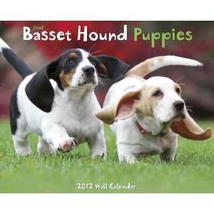  Basset Hound Puppies 2012 Wall Calendar: Office Products
