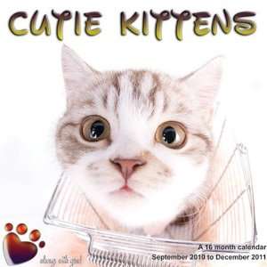  2011 Cat Calendars Cutie Kittens   16 Month   30x30cm 