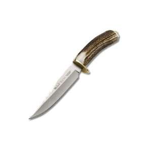   Hunter 11.125 Inch Stag, Brass Guard and Pommel Cap