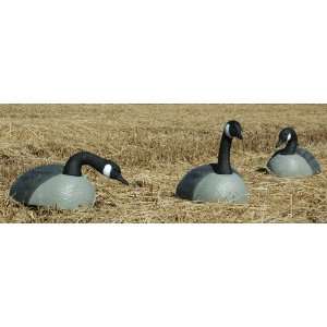   Canada Goose Shell Decoys 12   Pk.:  Sports & Outdoors