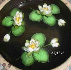 Floating Water Lotus, l/3, White Flowers Pond Decor  