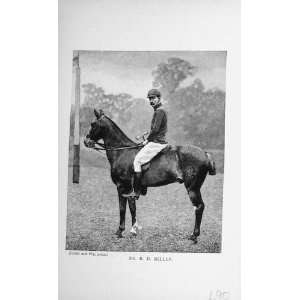   Antique Portrait 1896 Mr E.D Miller Horse Polo Sport: Home & Kitchen