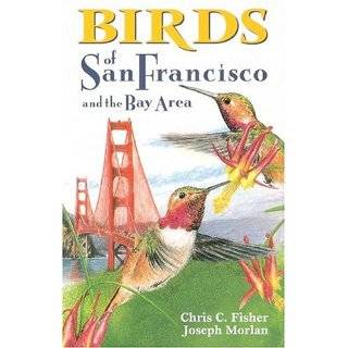  Birds of California How to Identify and Attract the Top 25 Birds 