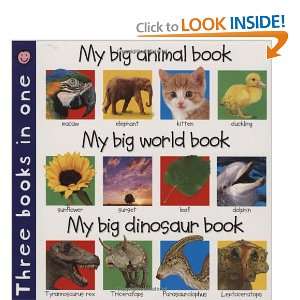  3 in 1 My Big Animal,World,Dinosaur (9780312495626 
