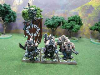 Warhammer DPS painted Ogre Kingdoms Battalion Army OG101  