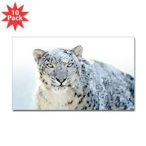  Sticker (Rectangle) (10 Pack) Snow Leopard HD Apple 