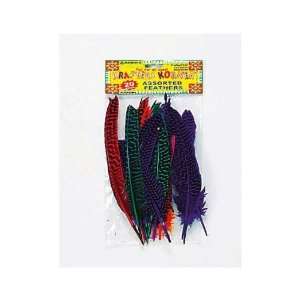    Bulk Buys CC273 20Pk Craft Feathers   Pack Of 96: Toys & Games