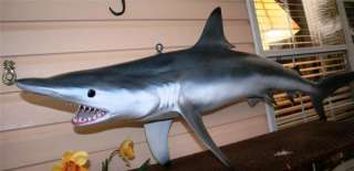 XL 72 inch Blacktip Shark FISH MOUNT  Replica Fierce!  