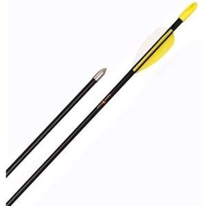   Assorted Safetyglass Target Arrows   72 Pack