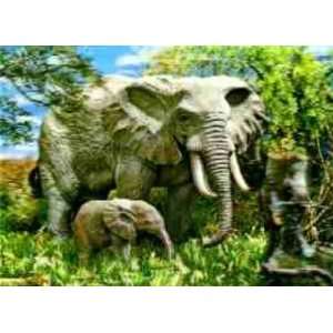  3D Lenticular POSTCARD ELEPHANTS: Home & Kitchen