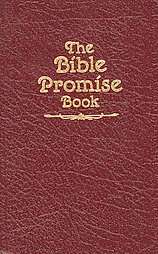 Bible Promise Book  