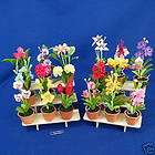 18 SMALL CLAY FLOWERS & ORCHIDS WITH 2 STANDS   R2A
