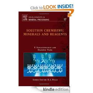Solution Chemistry, Volume 17 Minerals and Reagents (Developments in 