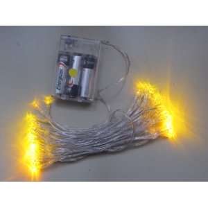   40LED string light led light battery operated: Patio, Lawn & Garden