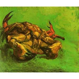   : Crab on Its Back: Vincent van Gogh Hand Painted Art: Home & Kitchen