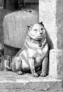 DOGS LOW LIFE by Sir Edwin LANDSEER. Old print. 1874  
