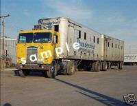 Thunderbird Freight Lines set of doubles truck photo  