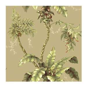   The Sea AC6154 Jungle Boogie Wallpaper, Taupe/Green