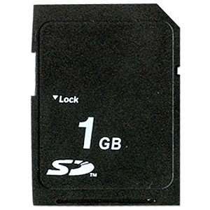  1G Secure Digital Memory Card: Electronics