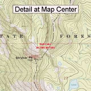 USGS Topographic Quadrangle Map   Bull Lake, Montana (Folded 