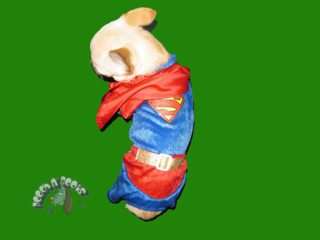 Superman Super Dog costume! MUST HAVE! Size L/XL  