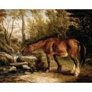 FRAMED oil paintings   James Ward   24 x 20 inches   A Horse Drinking 