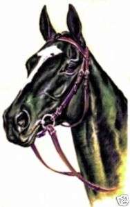 Black Beauty Horse Purple Tote Bag equestrian NEW!  