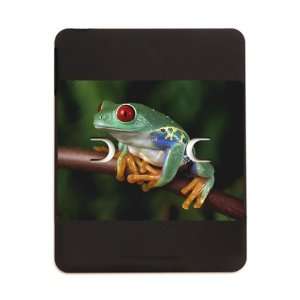  iPad 5 in 1 Case Matte Black Red Eyed Tree Frog 